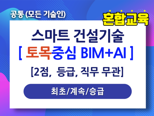 스마트 건설기술[토목중심 BIM+AI]